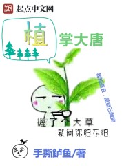 女神的鱼最新小说